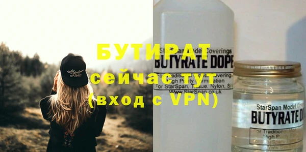 индика Дмитровск