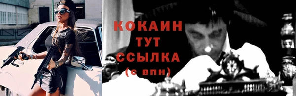 индика Дмитровск