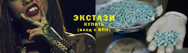 индика Дмитровск