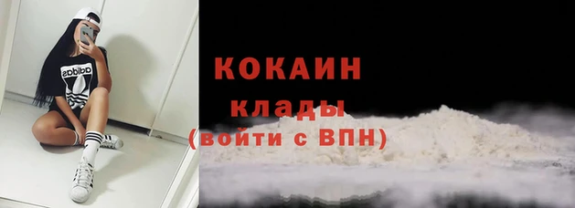 кокс Дмитров