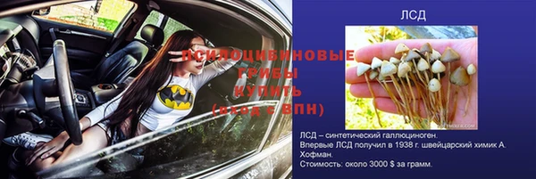 индика Дмитровск