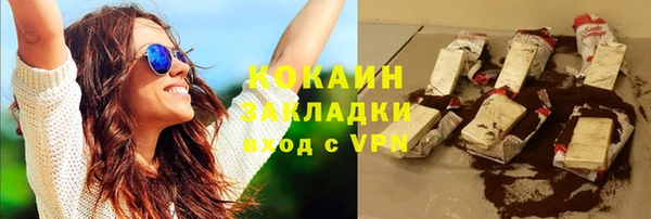 индика Дмитровск